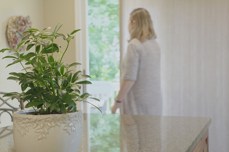 Video - Energy Saving Tip 3. Woman drawing the blinds shut in her home while standing next to a houseplant.